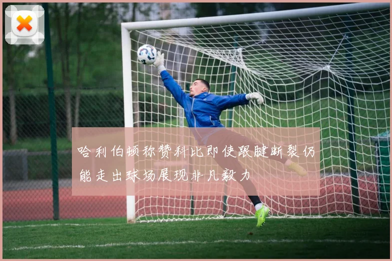 哈利伯顿称赞科比即使跟腱断裂仍能走出球场展现非凡毅力