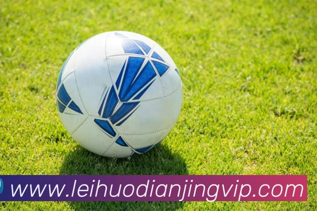 雷火电竞平台生态图